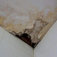 Mold-in-the-ceiling.jpg.crdownload-540x325